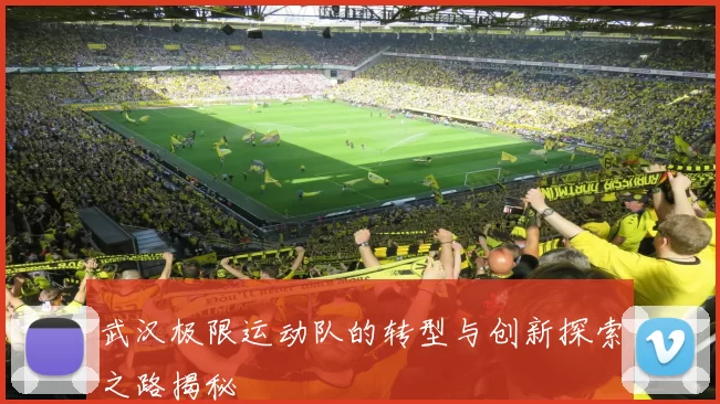 武汉极限运动队的转型与创新探索之路揭秘