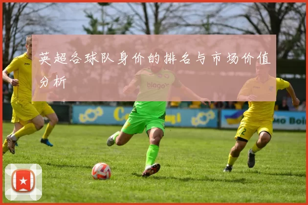 英超各球队身价的排名与市场价值分析
