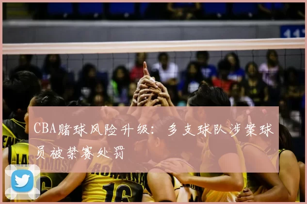 CBA赌球风险升级：多支球队涉案球员被禁赛处罚