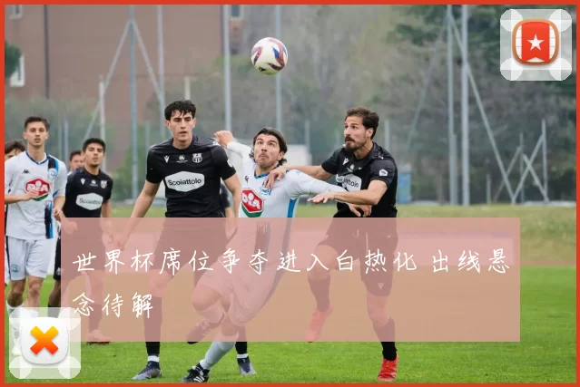 世界杯席位争夺进入白热化 出线悬念待解