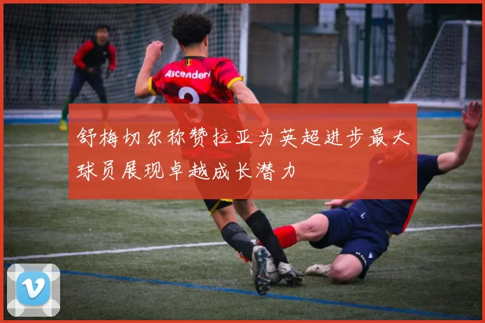 舒梅切尔称赞拉亚为英超进步最大球员展现卓越成长潜力