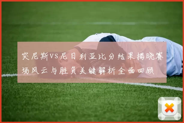 突尼斯vs尼日利亚比分结果揭晓赛场风云与胜负关键解析全面回顾