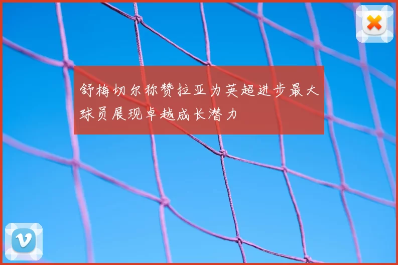 舒梅切尔称赞拉亚为英超进步最大球员展现卓越成长潜力