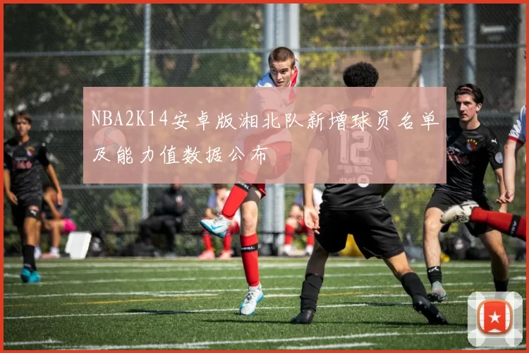 NBA2K14安卓版湘北队新增球员名单及能力值数据公布