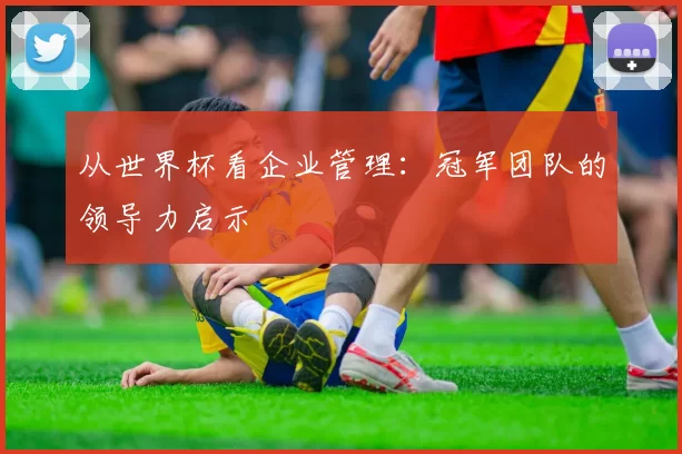 从世界杯看企业管理：冠军团队的领导力启示
