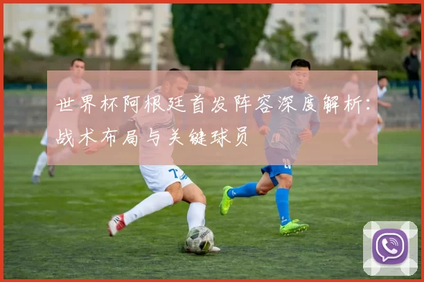 世界杯阿根廷首发阵容深度解析：战术布局与关键球员