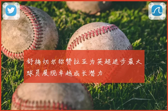 舒梅切尔称赞拉亚为英超进步最大球员展现卓越成长潜力