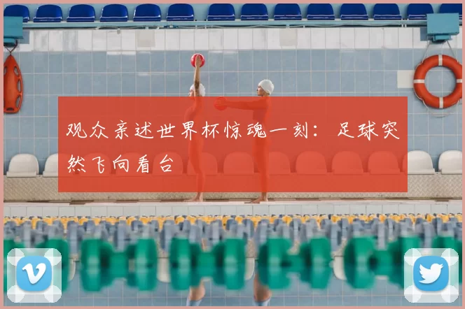 观众亲述世界杯惊魂一刻:足球突然飞向看台