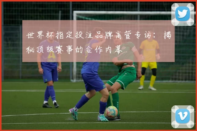 世界杯指定投注品牌高管专访:揭秘顶级赛事的合作内幕