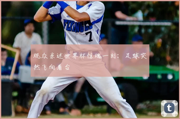 观众亲述世界杯惊魂一刻:足球突然飞向看台