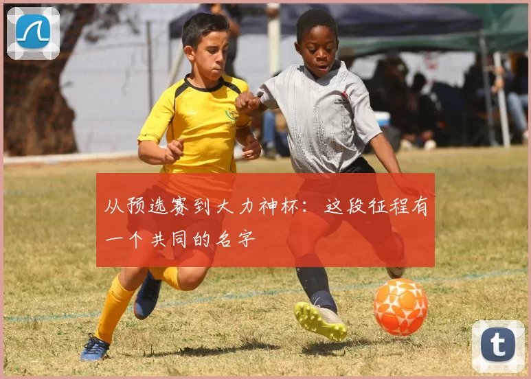 从预选赛到大力神杯：这段征程有一个共同的名字